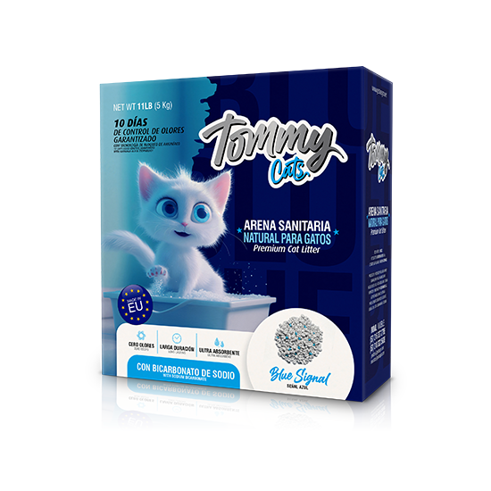 tommy cats blue signal