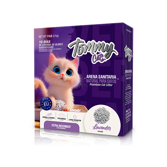 tommy cats lavender